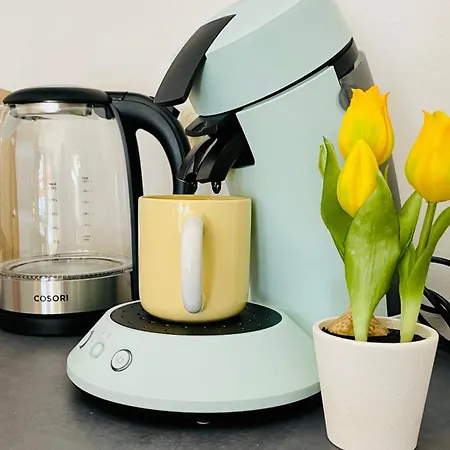 Fewozauber - Dom Oase, Zentrum, Terrasse, Business, Familie, Haustiere *